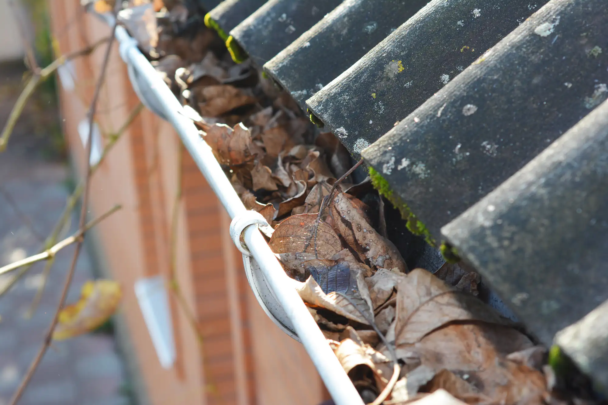A house gutter filled with dry, brown leaves beneath a dark, mossy tiled roof, indicating that the gutter needs cleaning.