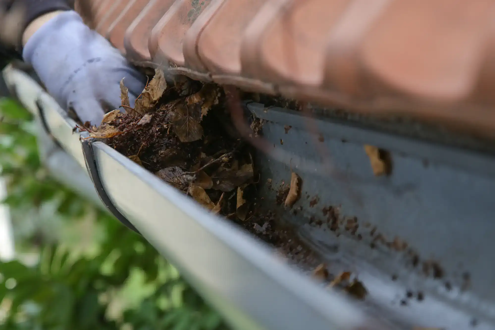 A person wearing a glove is cleaning out dry leaves and debris from a metal roof gutter attached to a house with reddish-brown roof tiles. Green foliage is visible in the background.