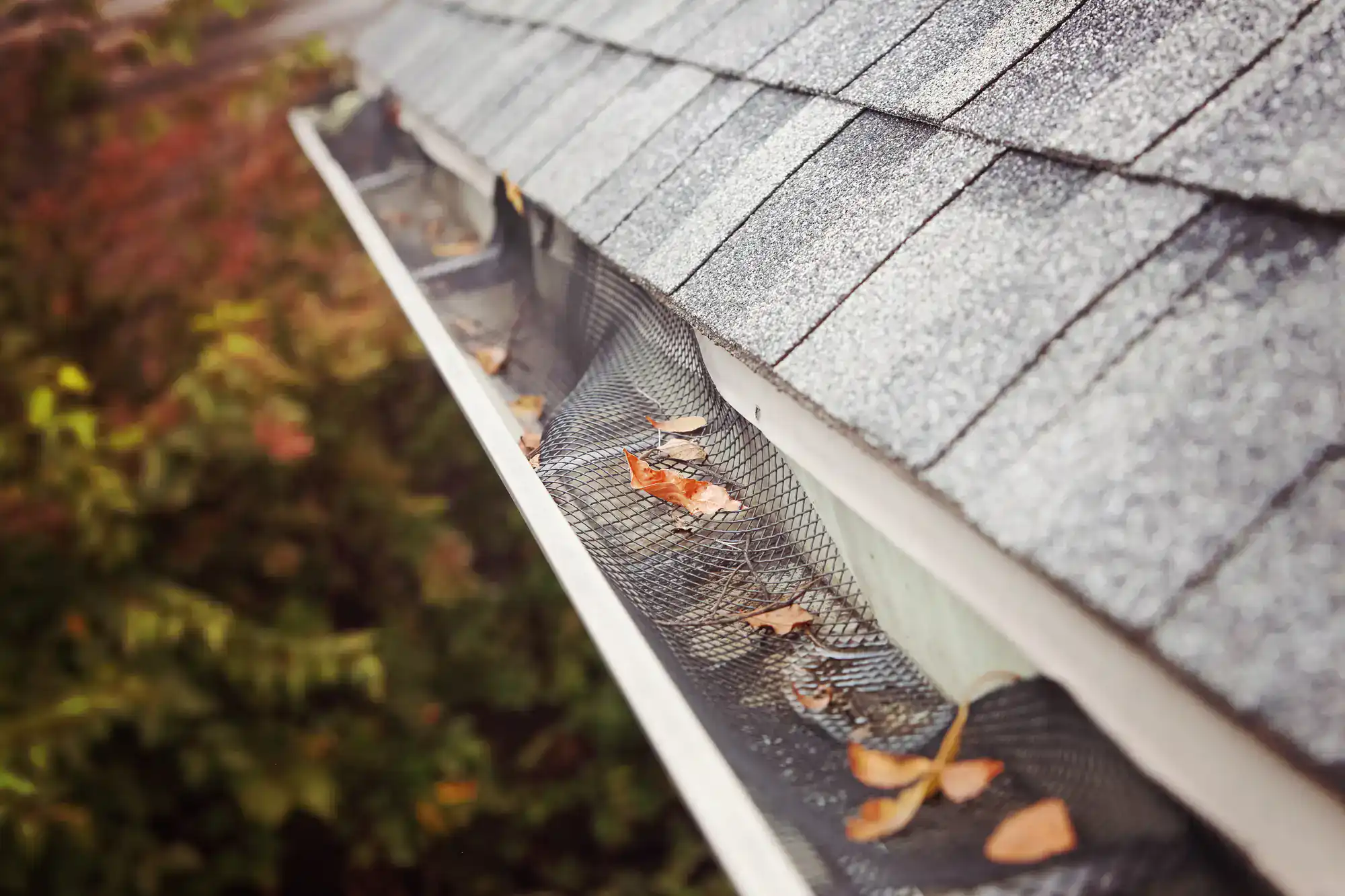 Close-up of a house roof with a gutter covered by a mesh guard, scattered with dry leaves. Trees with green and brown foliage are visible in the blurred background.