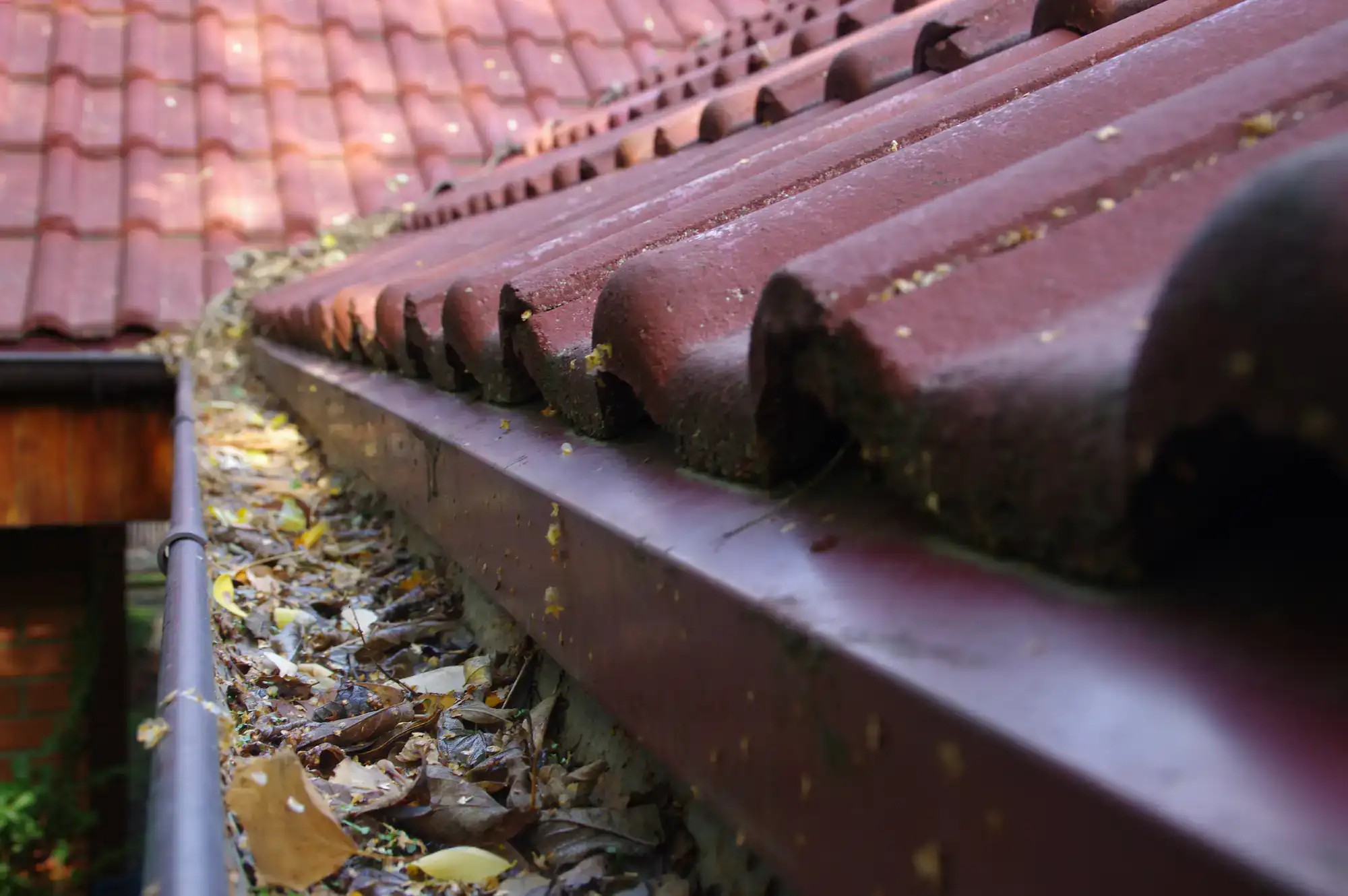 A close-up of a house&rsquo;s roof with red tiles and a gutter filled with dry leaves and debris, indicating the need for cleaning and maintenance.